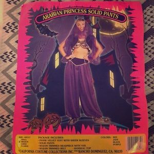 Arabian Princess Harem Costume -Ladies Medium